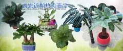 吉宏近期热销商品！！！