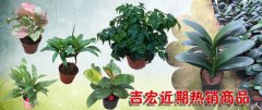 吉宏九月第二周热销商品推荐，欢迎选购