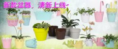 大信新款盆器，清新上线！欢迎选购！