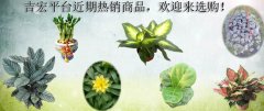 吉宏平台近期热销商品，欢迎来选购！