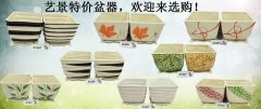艺景特价盆器，欢迎来选购！