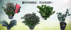 富彬热销商品。欢迎来选购！