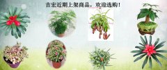 吉宏近期上架商品，欢迎选购！